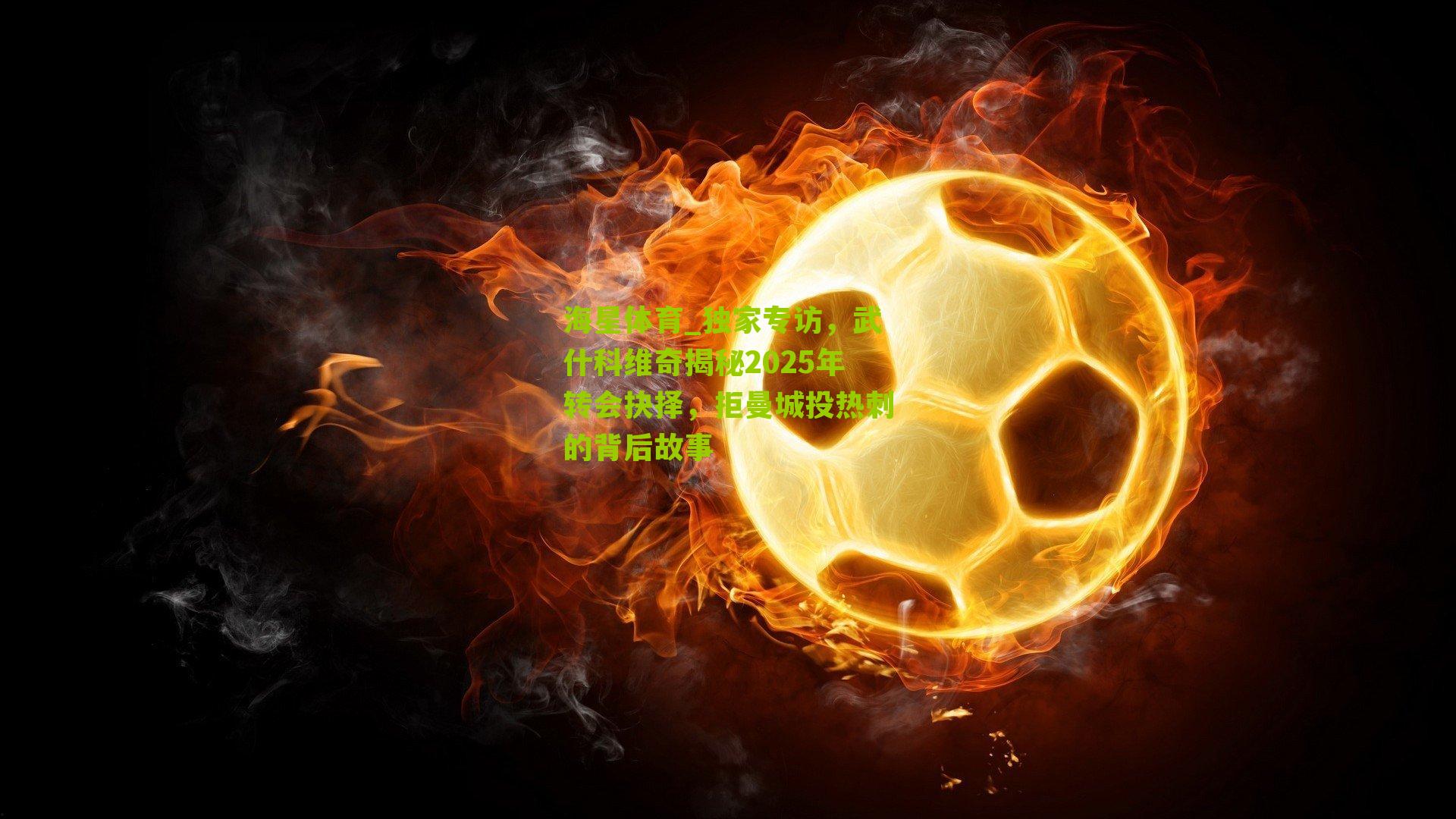 独家专访,武什科维奇揭秘2025年转会抉择,拒曼城投热刺的背后故事